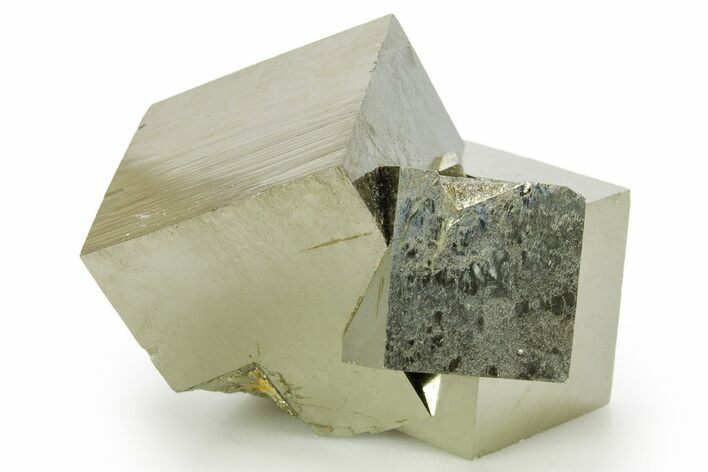Shiny, Natural Pyrite Cube Cluster - Navajun, Spain #361885